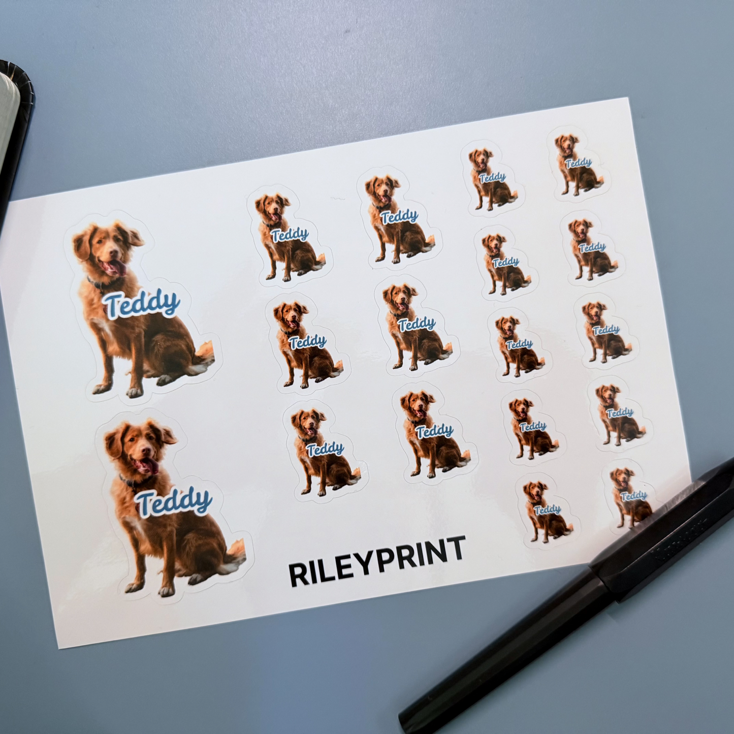 Sticker Sheets﹘Face Stickers﹘GB